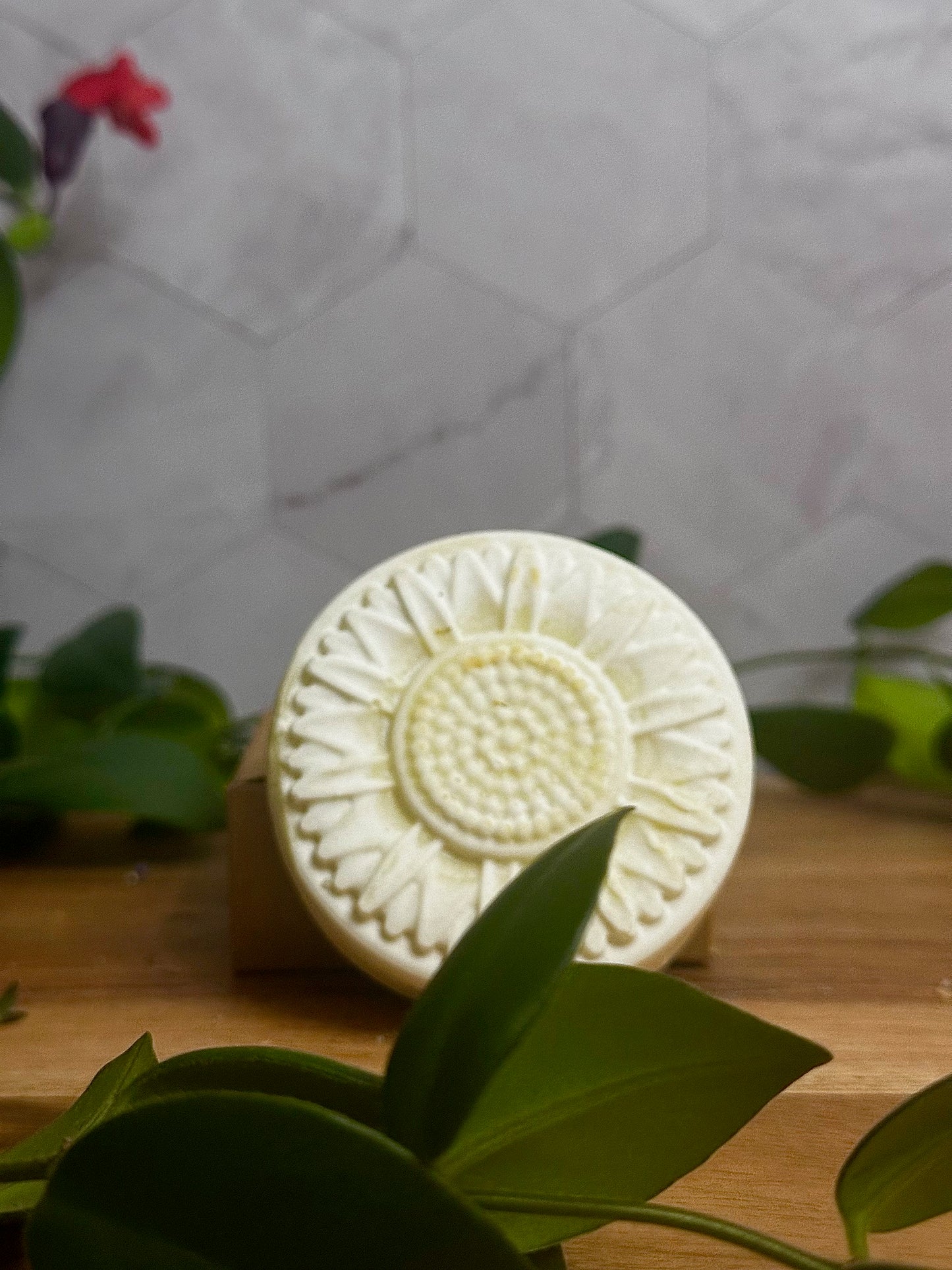 Cleansing Shampoo Bar